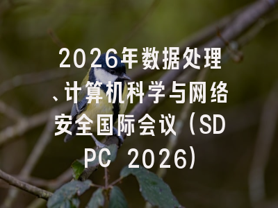 2026年数据处理、计算机科学与网络安全国际会议（SDPC 2026）