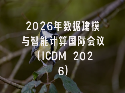 2026年数据建模与智能计算国际会议（ICDM 2026）
