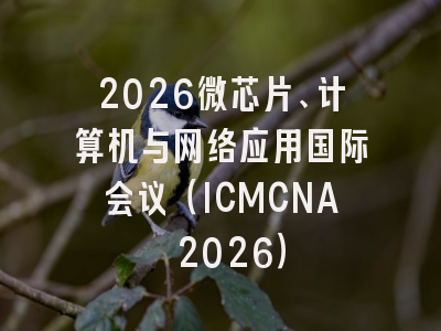 2026微芯片、计算机与网络应用国际会议（ICMCNA 2026）