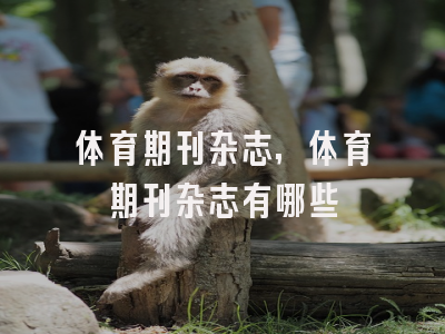 体育期刊杂志,体育期刊杂志有哪些