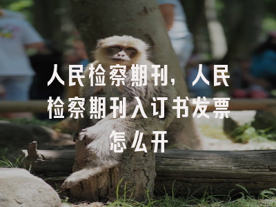 人民检察期刊,人民检察期刊入订书发票怎么开