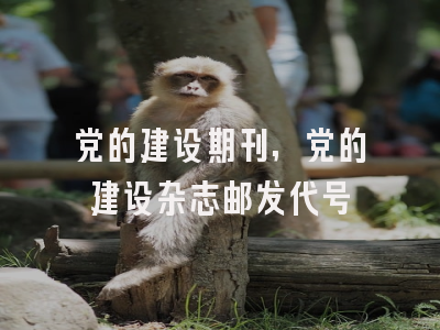 党的建设期刊,党的建设杂志邮发代号