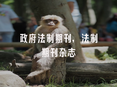 政府法制期刊,法制期刊杂志