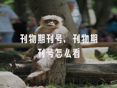 刊物期刊号,刊物期刊号怎么看