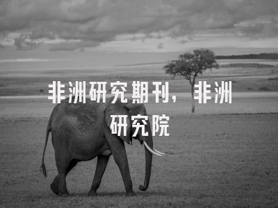 非洲研究期刊,非洲研究院