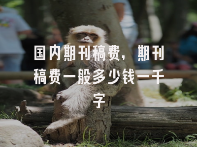 国内期刊稿费,期刊稿费一般多少钱一千字