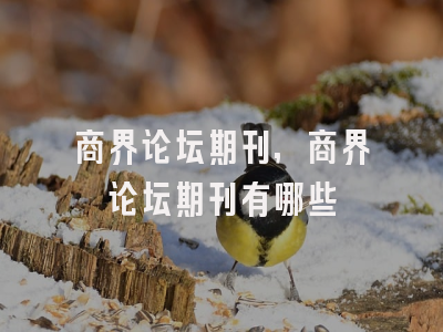 商界论坛期刊,商界论坛期刊有哪些