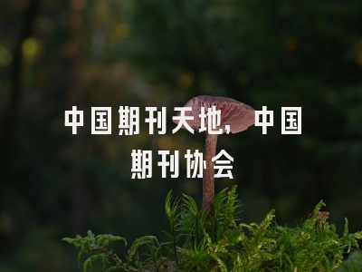 中国期刊天地,中国期刊协会