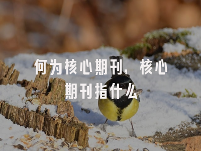 何为核心期刊,核心期刊指什么