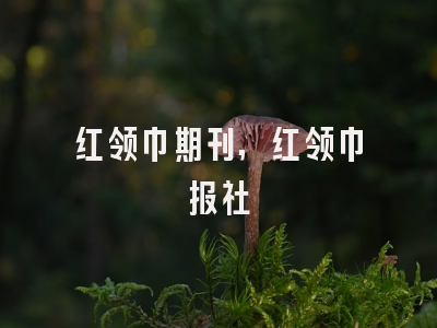 红领巾期刊,红领巾报社