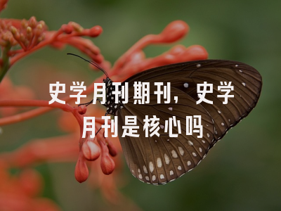 史学月刊期刊,史学月刊是核心吗