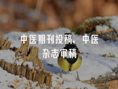 中医期刊投稿,中医杂志审稿
