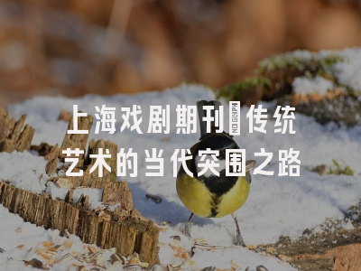 上海戏剧期刊：传统艺术的当代突围之路
