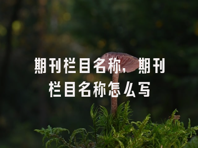 期刊栏目名称,期刊栏目名称怎么写