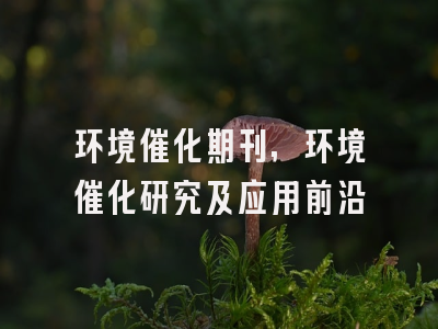 环境催化期刊,环境催化研究及应用前沿