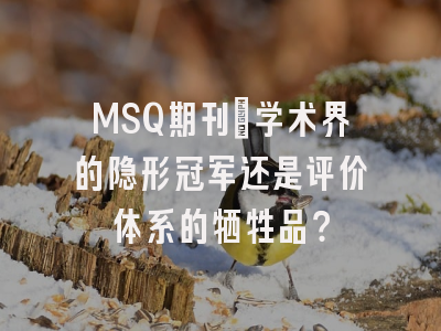 MSQ期刊:学术界的隐形冠军还是评价体系的牺牲品?