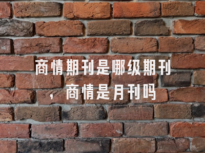 商情期刊是哪级期刊,商情是月刊吗