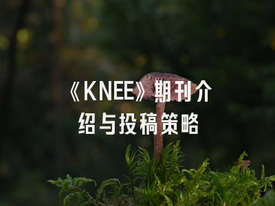 《KNEE》期刊介绍与投稿策略