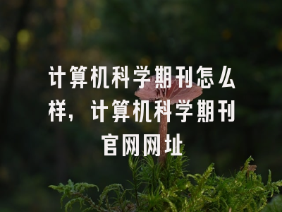 计算机科学期刊怎么样,计算机科学期刊官网网址