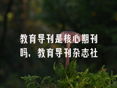 教育导刊是核心期刊吗,教育导刊杂志社