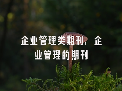 企业管理类期刊,企业管理的期刊