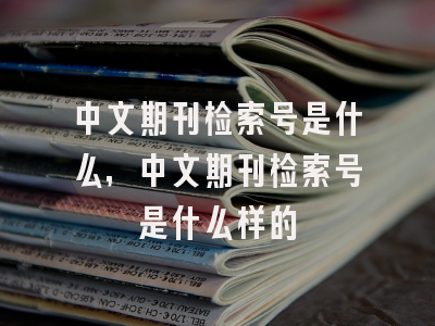 中文期刊检索号是什么,中文期刊检索号是什么样的