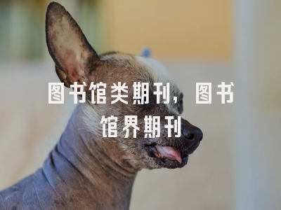 图书馆类期刊,图书馆界期刊