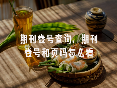 期刊卷号查询,期刊卷号和页码怎么看