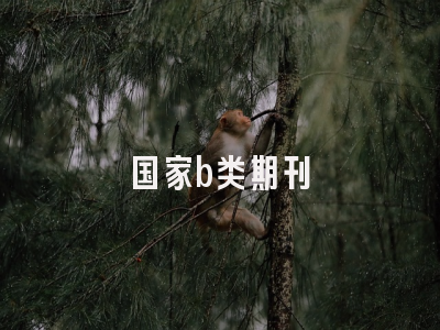 国家b类期刊