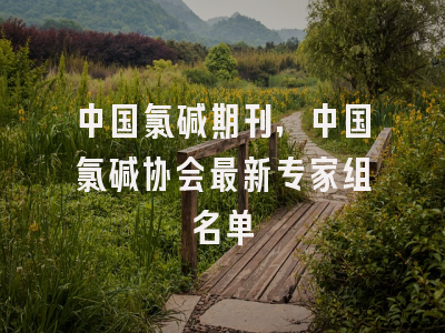 中国氯碱期刊,中国氯碱协会最新专家组名单