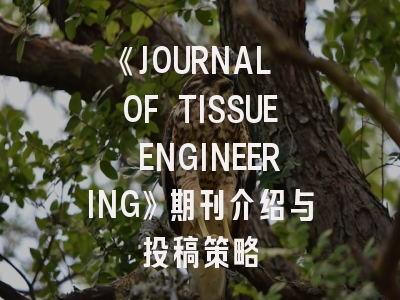 《JOURNAL OF TISSUE ENGINEERING》期刊介绍与投稿策略