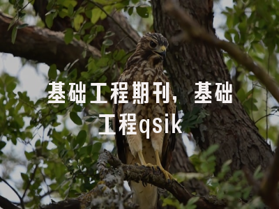基础工程期刊,基础工程qsik