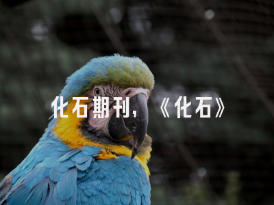 化石期刊,《化石》