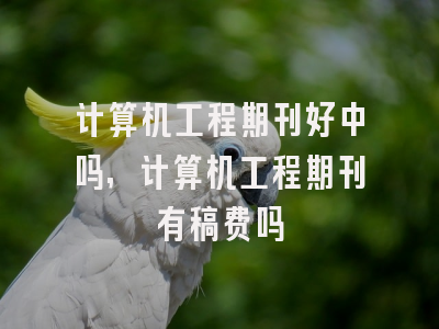 计算机工程期刊好中吗,计算机工程期刊有稿费吗