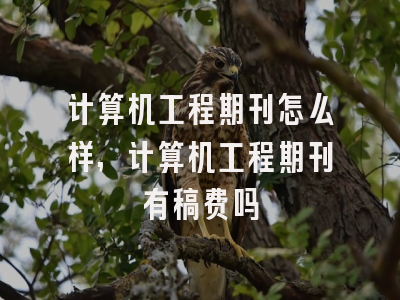 计算机工程期刊怎么样,计算机工程期刊有稿费吗