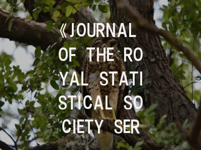 《JOURNAL OF THE ROYAL STATISTICAL SOCIETY SERIES C-APPLIED STATISTICS》期刊介绍与投稿策略