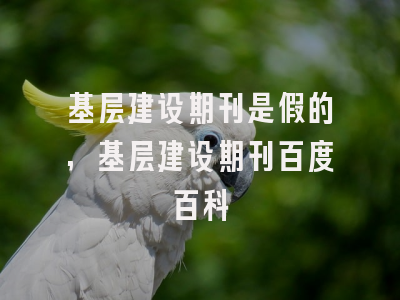 基层建设期刊是假的,基层建设期刊百度百科