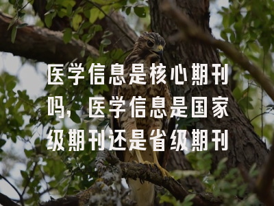 医学信息是核心期刊吗,医学信息是国家级期刊还是省级期刊