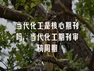 当代化工是核心期刊吗,当代化工期刊审稿周期