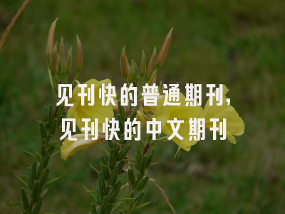 见刊快的普通期刊,见刊快的中文期刊