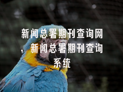 新闻总署期刊查询网,新闻总署期刊查询系统