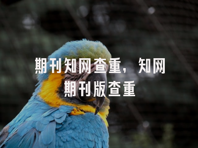 期刊知网查重,知网期刊版查重