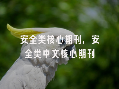 安全类核心期刊,安全类中文核心期刊