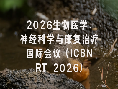 2026生物医学、神经科学与康复治疗国际会议(ICBNRT 2026)