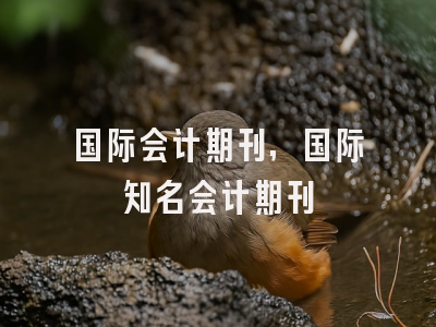 国际会计期刊,国际知名会计期刊