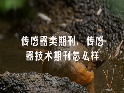 传感器类期刊,传感器技术期刊怎么样