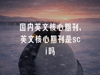 国内英文核心期刊,英文核心期刊是sci吗