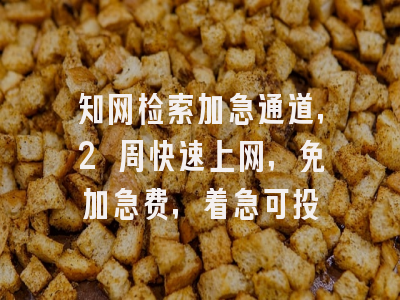 知网检索加急通道，2 周快速上网，着急可投