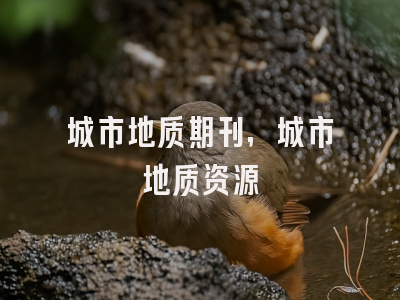 城市地质期刊,城市地质资源