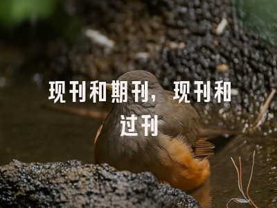 现刊和期刊,现刊和过刊